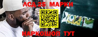 гидра Моздок