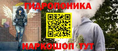 гашик Можайск