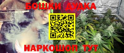 гидра Моздок