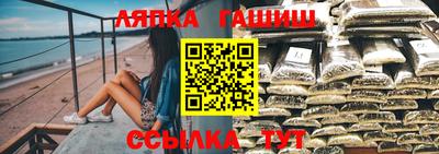 гашик Можайск