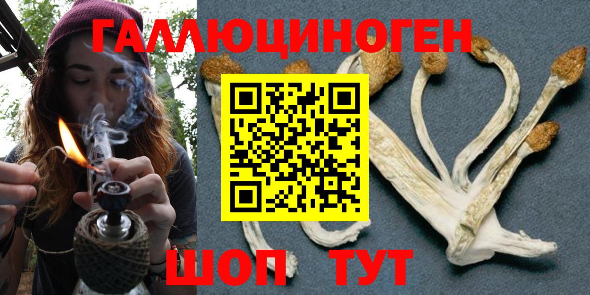 наркошоп  Вход с VPN  Курчалой  Галлюциногенные грибы Psilocybe  Галлюциногенные грибы GOLDEN TEACHER 