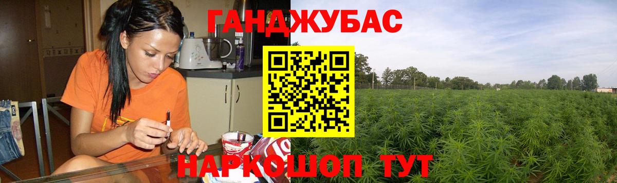 Бошки Шишки MAZAR Курчалой